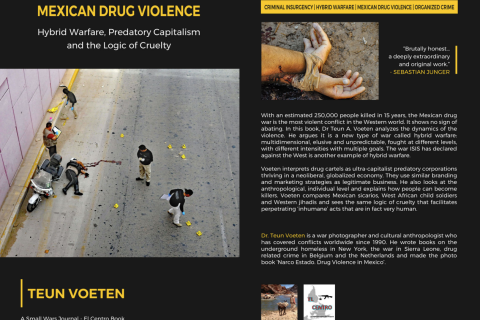 Teun Voeten - Mexican drug violence